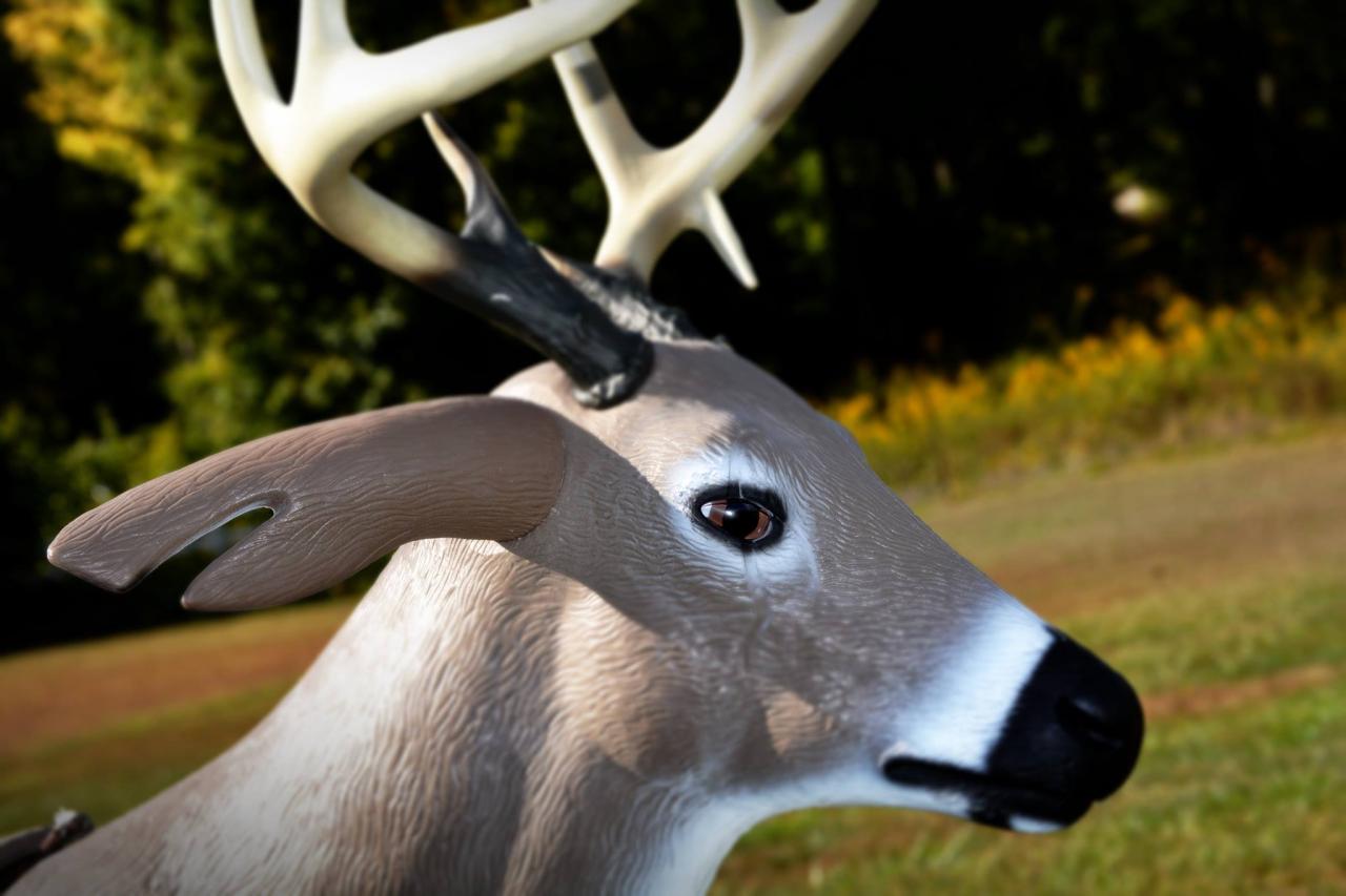 Best time to use deer decoys
