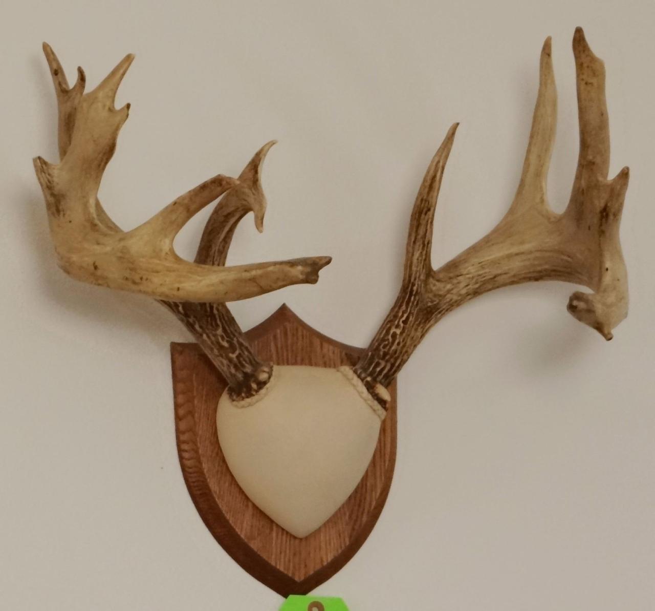 Antler wreath antlers elk horns