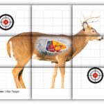 Deer targets for crossbow