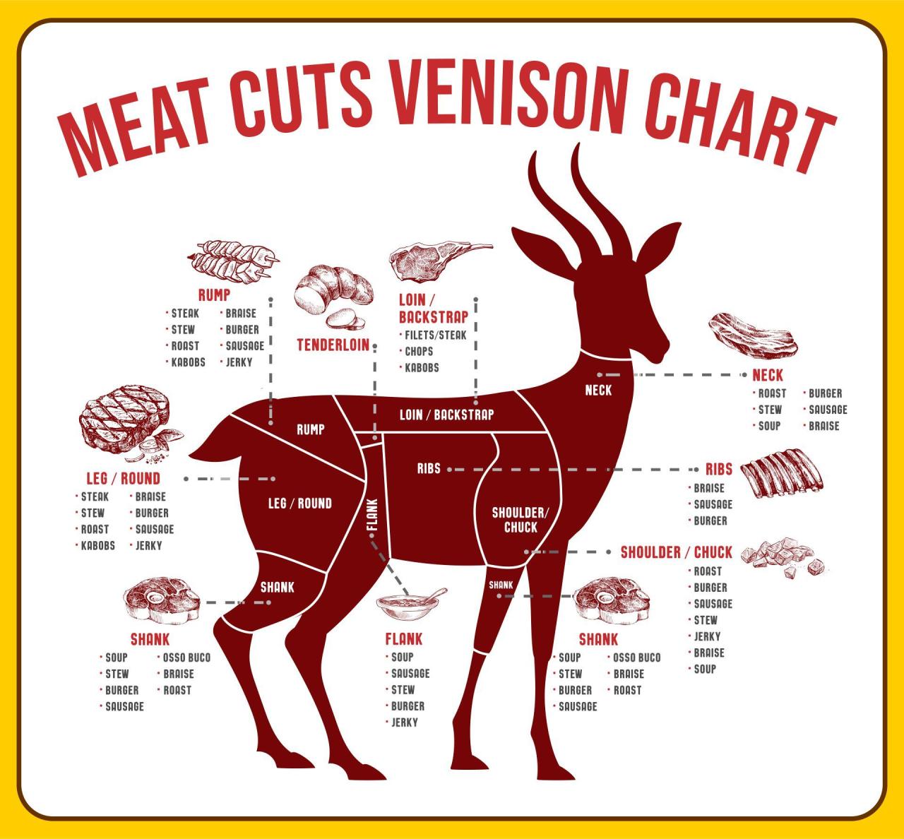 Deer processing chart guide ultimate infographic venison butchering butcher diagram meat cuts cut process parts diy different hunting which has