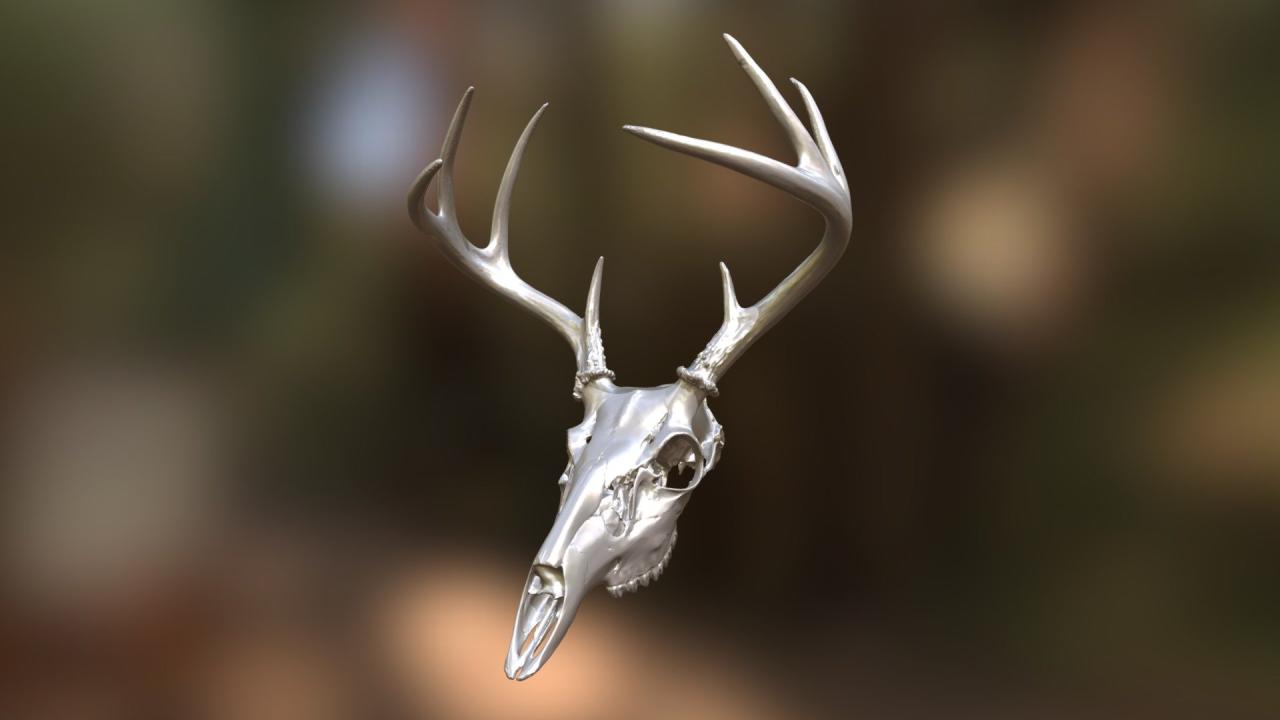 3d deer head stag model sculpture stl cnc obj printing carving solid animal reference anatomy jewelry reindeer low behance choose