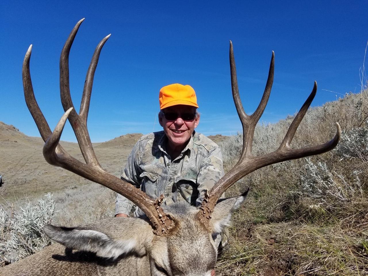 Deer hunts under $1 500