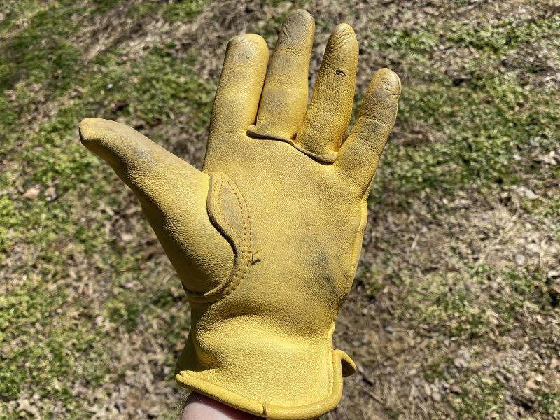 Deer skinning gloves