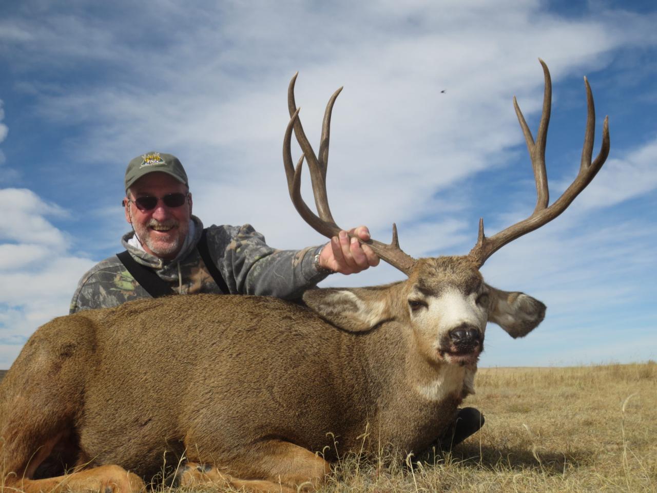 Colorado eastern plains mule deer hunt