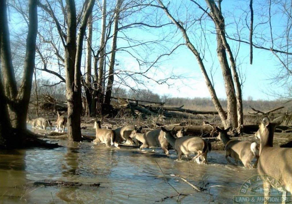 Deer hunting property jasper county il acres market off