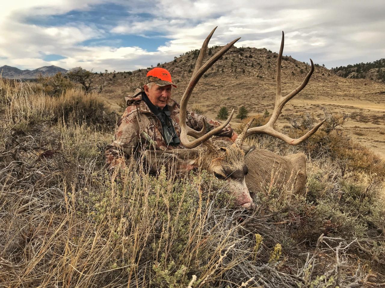 Wyoming mule deer hunting non resident