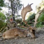 Biggest fallow deer in the world
