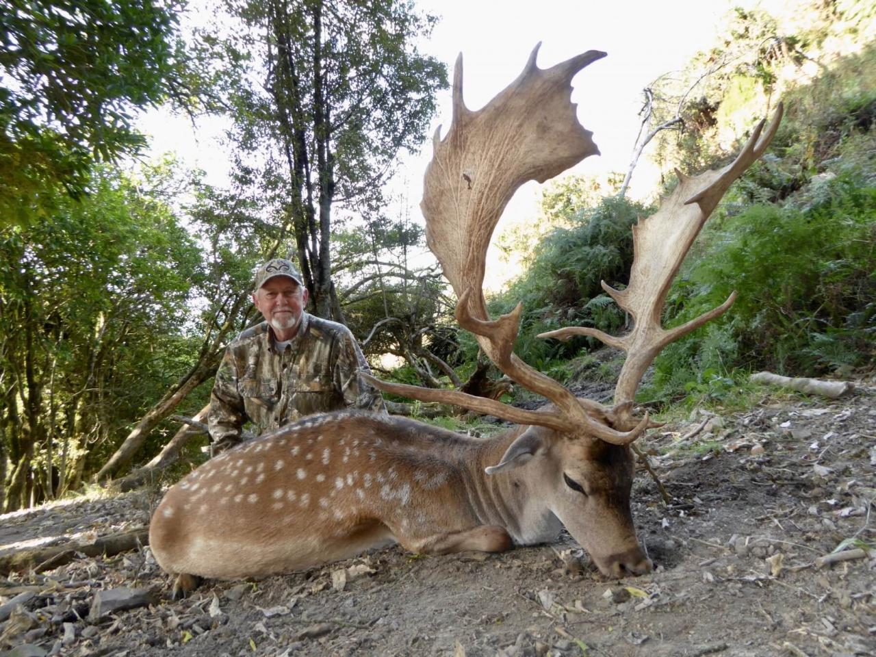 Biggest fallow deer in the world