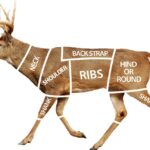 Meat venison stew ground deer beef wagyu diced australian