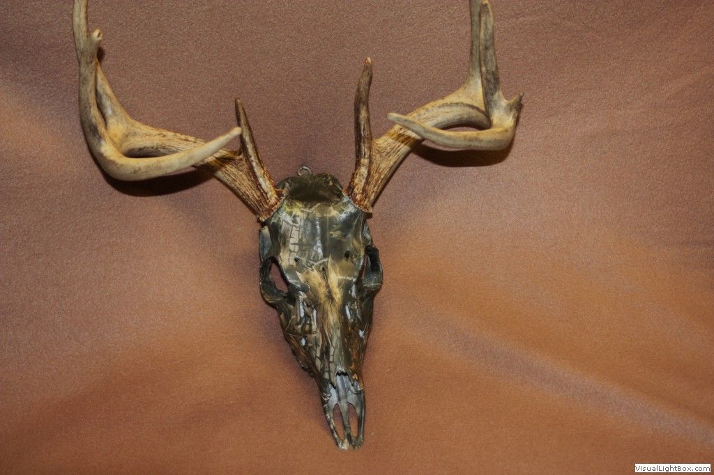 Camouflage european deer mount