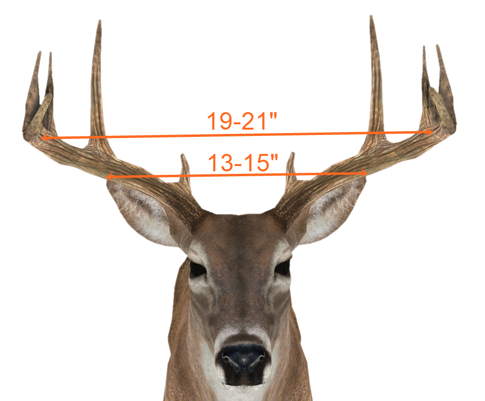 140 deer score
