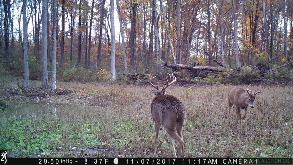 Illinois deer hunting property for sale