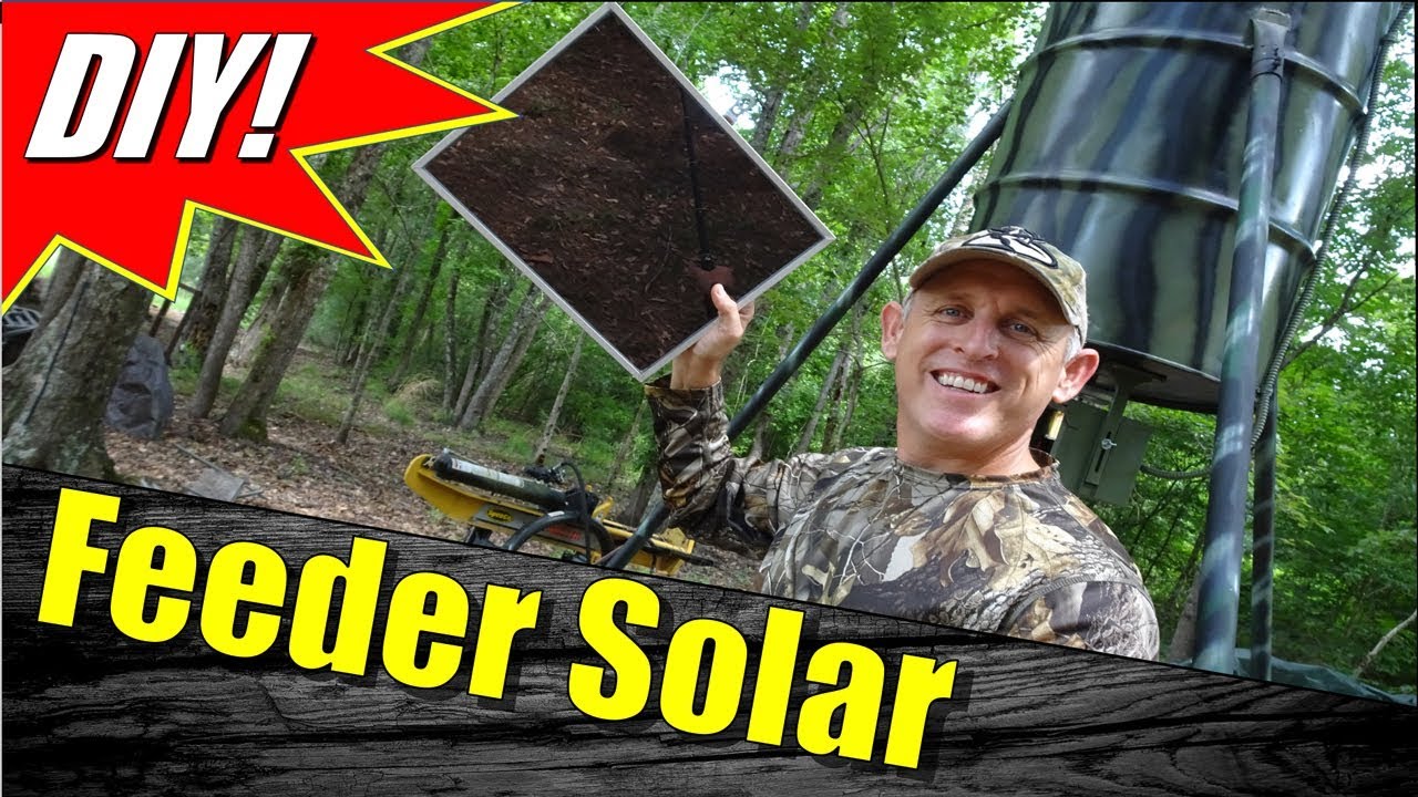 Deer feeder with solar panel