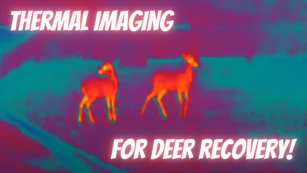 Thermal imaging for deer recovery