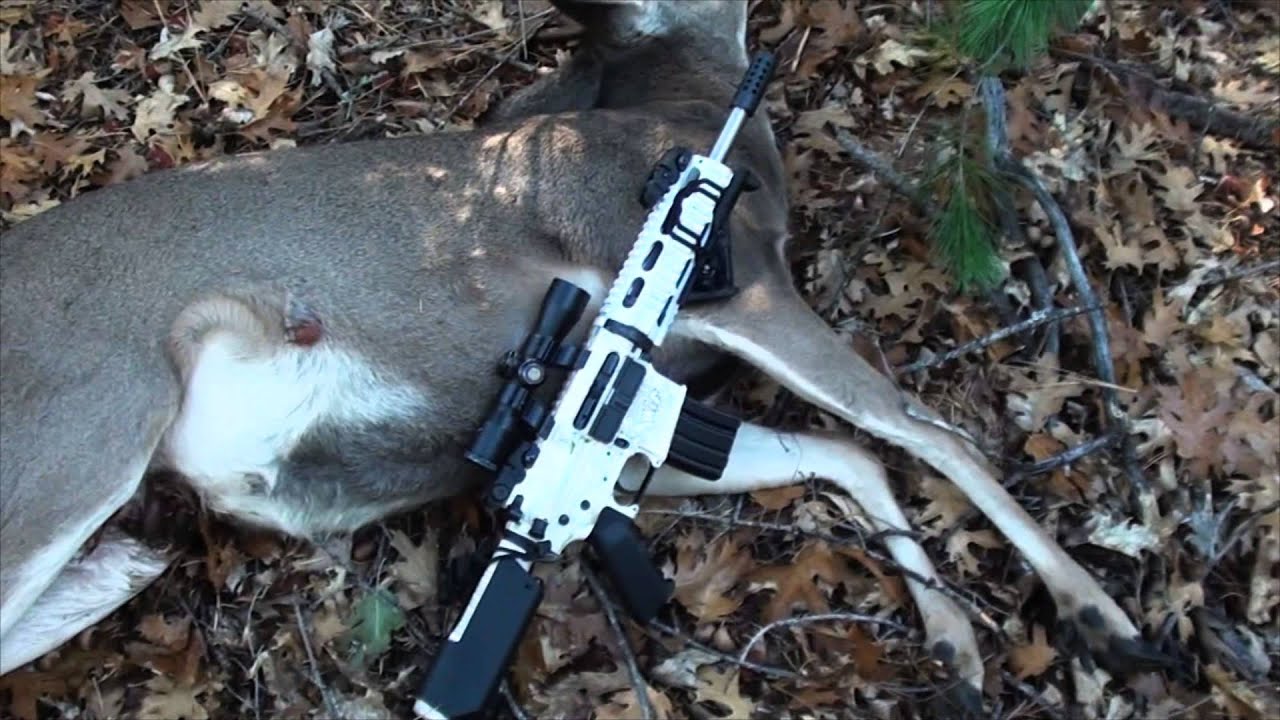Hunting handgun deer