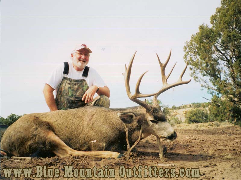 New mexico mule deer guides