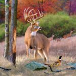 Deer whitetail paintings painting print fisher cynthie wildlife fineartamerica prints poster licensing jq buck posters canvas artwork animal hunting choose