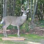 Robotic deer decoys for sale