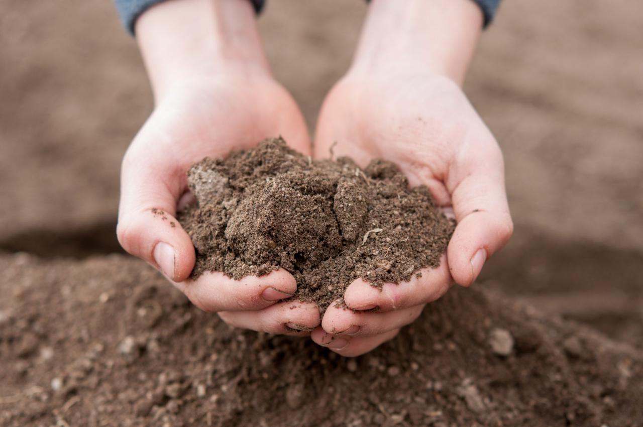 Aggregate soils