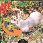 Thermal imaging drone for deer recovery