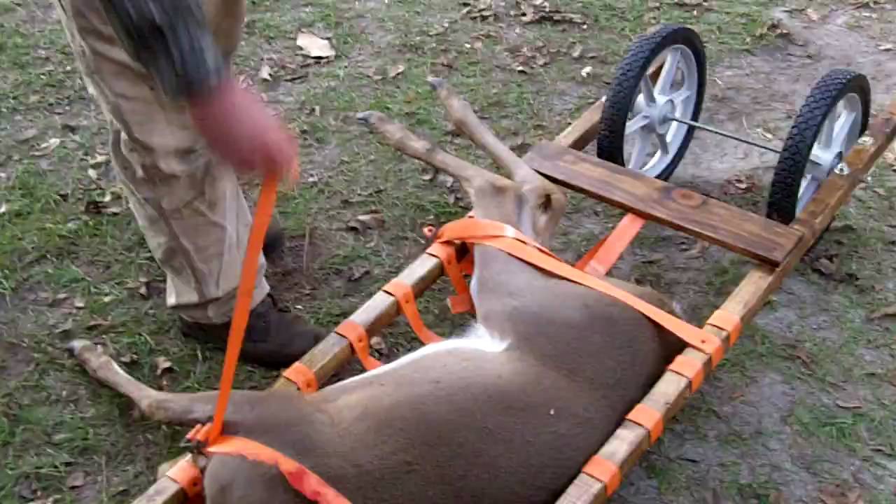 Deer cart vs sled