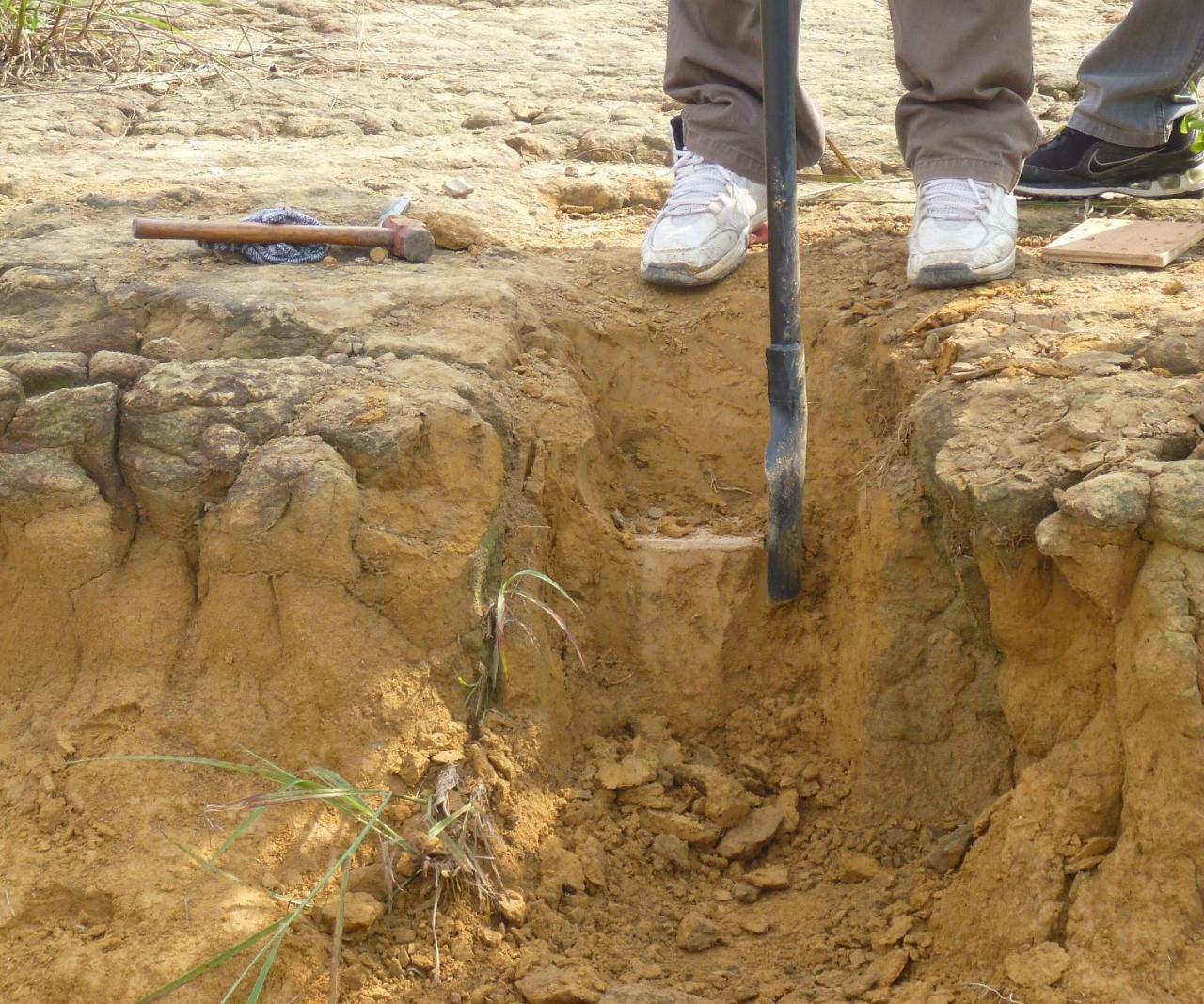 Soil investigation